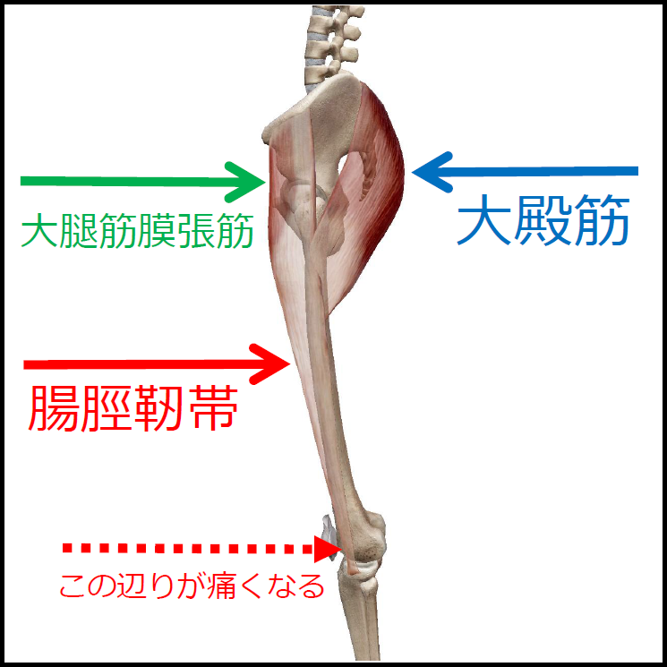 ランナー向けex 腸脛靭帯 外もも をゆるめる 姿勢改善 引き締めるパーソナルトレーニング 大阪 南森町 B Station